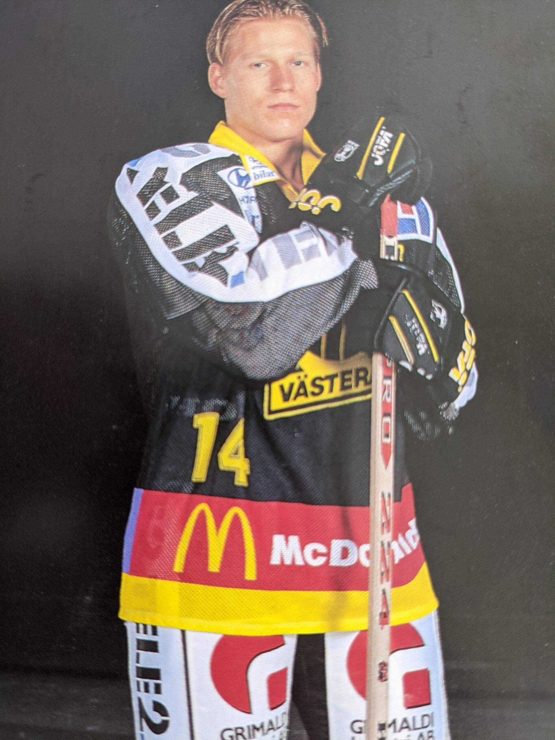 Torsson VIK 1995